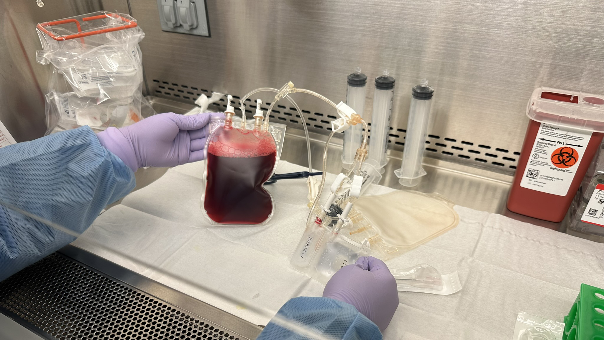 National Cord
Blood Network