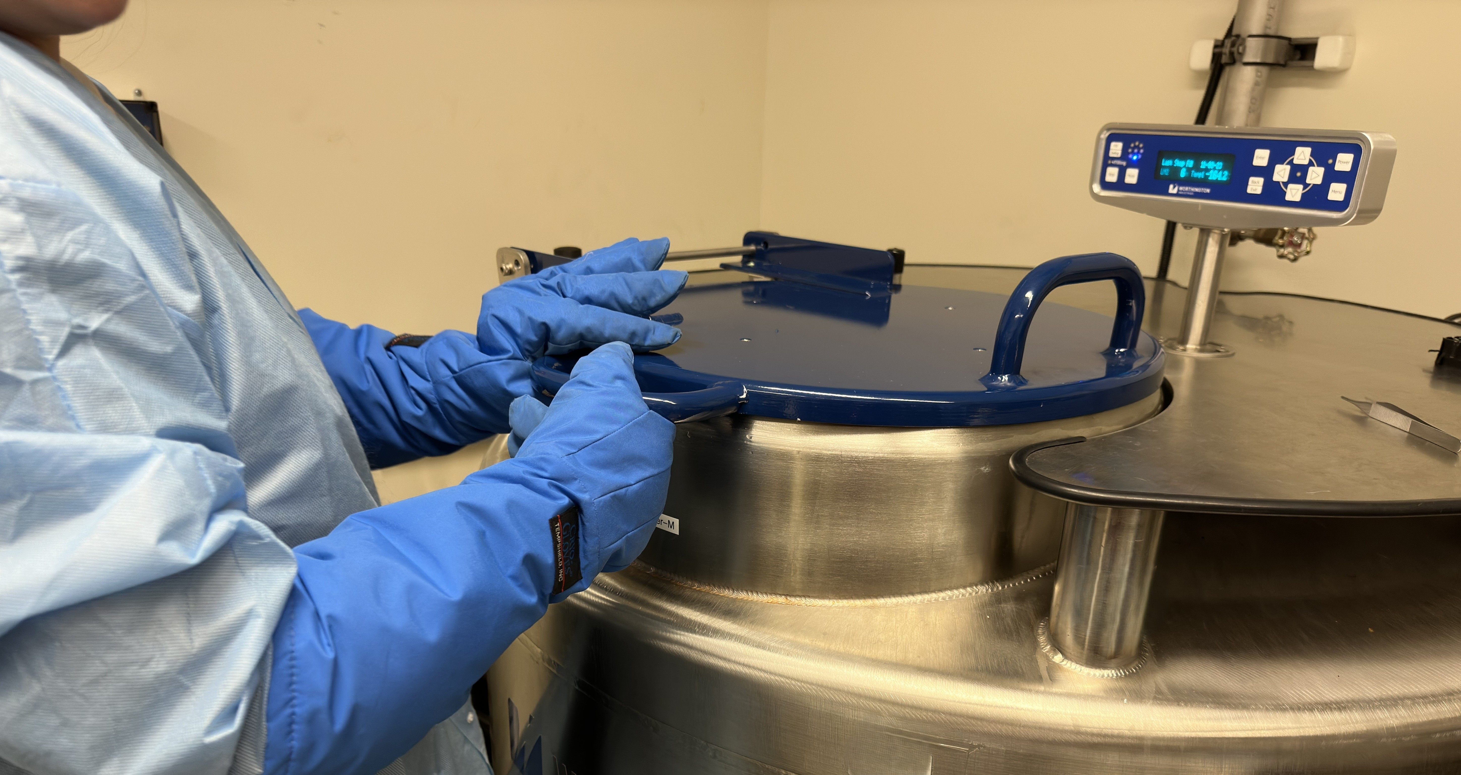 Cord Blood Utilization